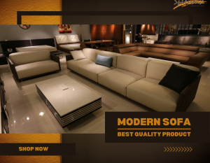 Modern Style Sofa Set